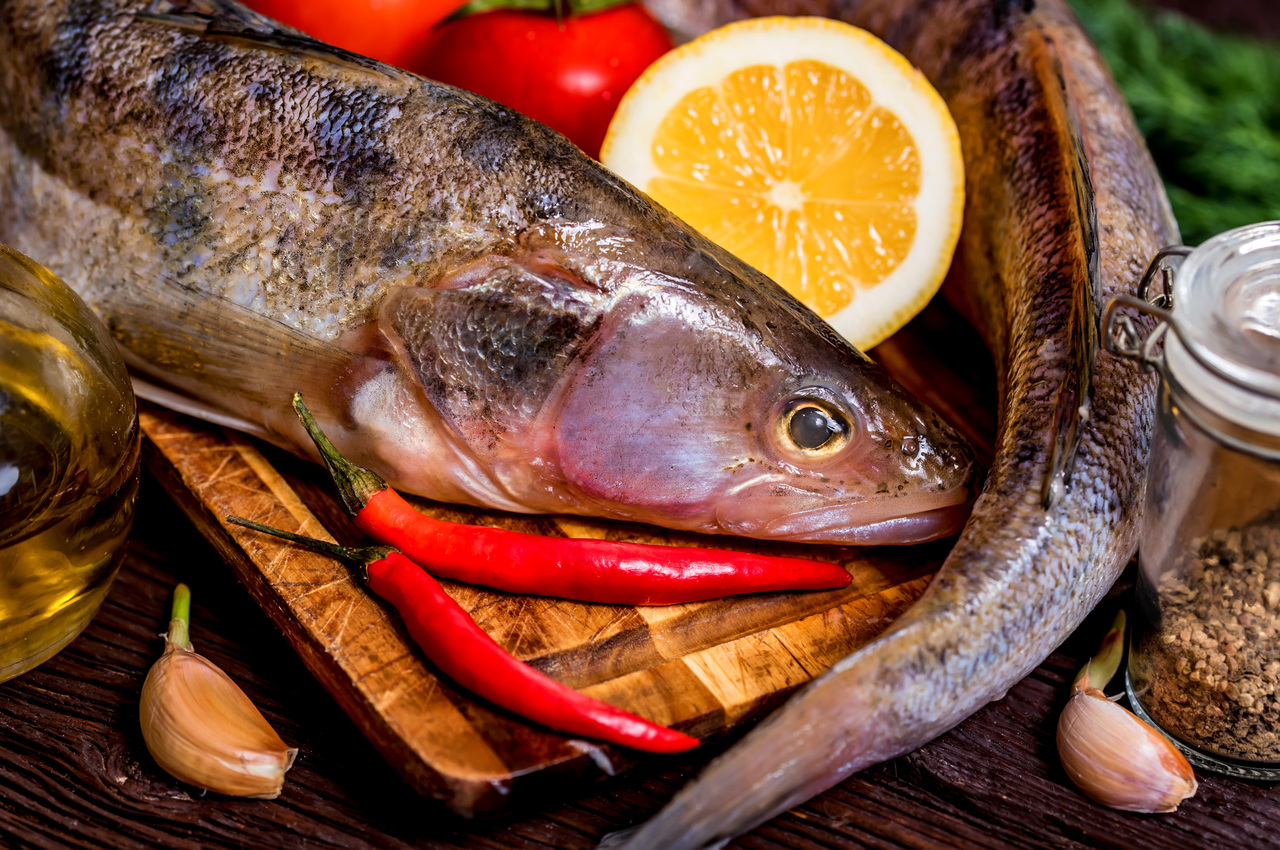 sağlıklı balıklar