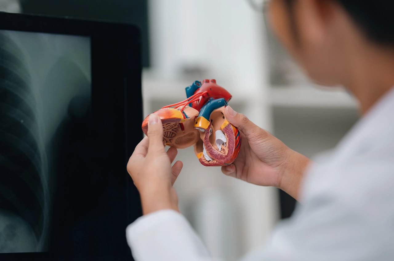 Mitral Kapak Yetmezliği