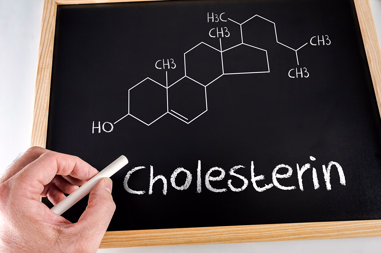 Menopoz Döneminde Kolesterol