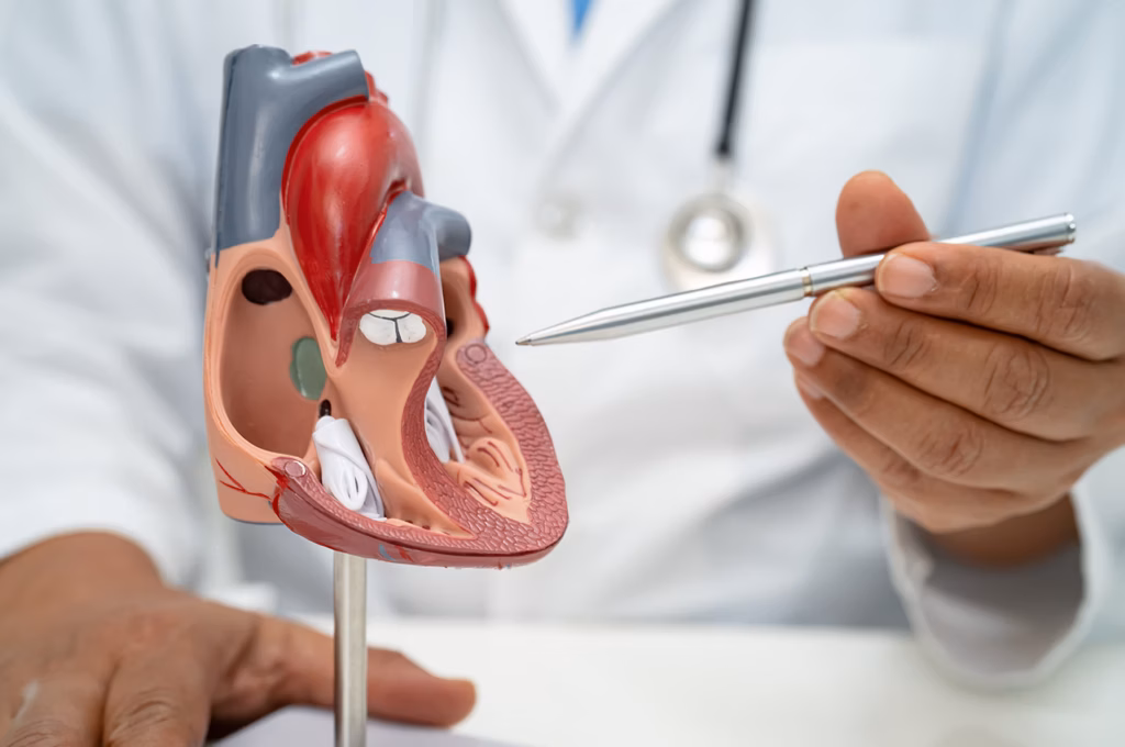 Mitral Kapak Balon Valvüloplasti